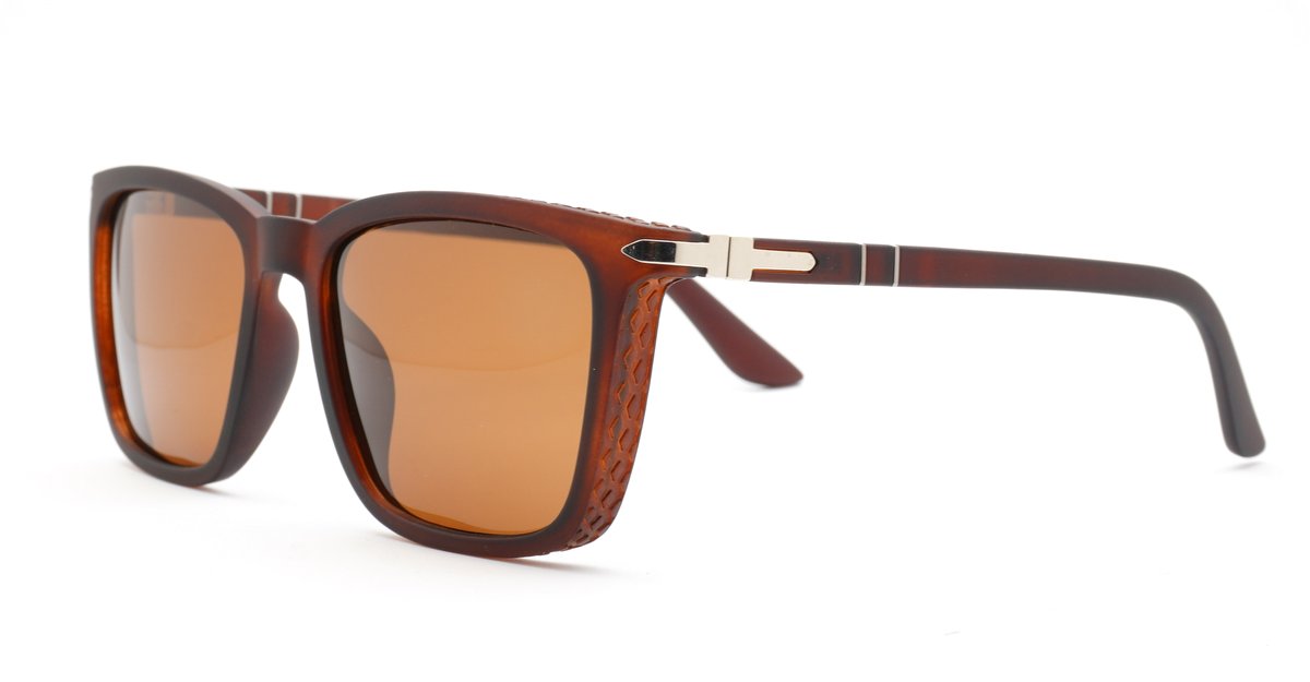 Men's classic polarised sunglasses with silver detailing on frames and temples