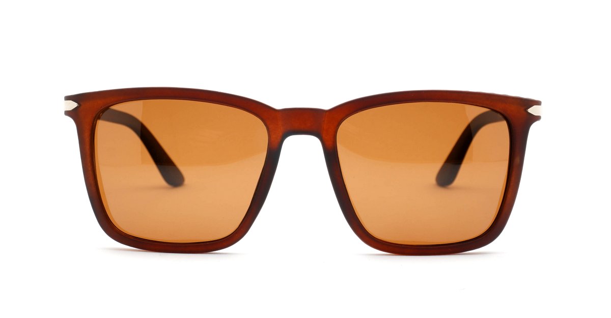 Men's classic polarised sunglasses with silver detailing on frames and temples