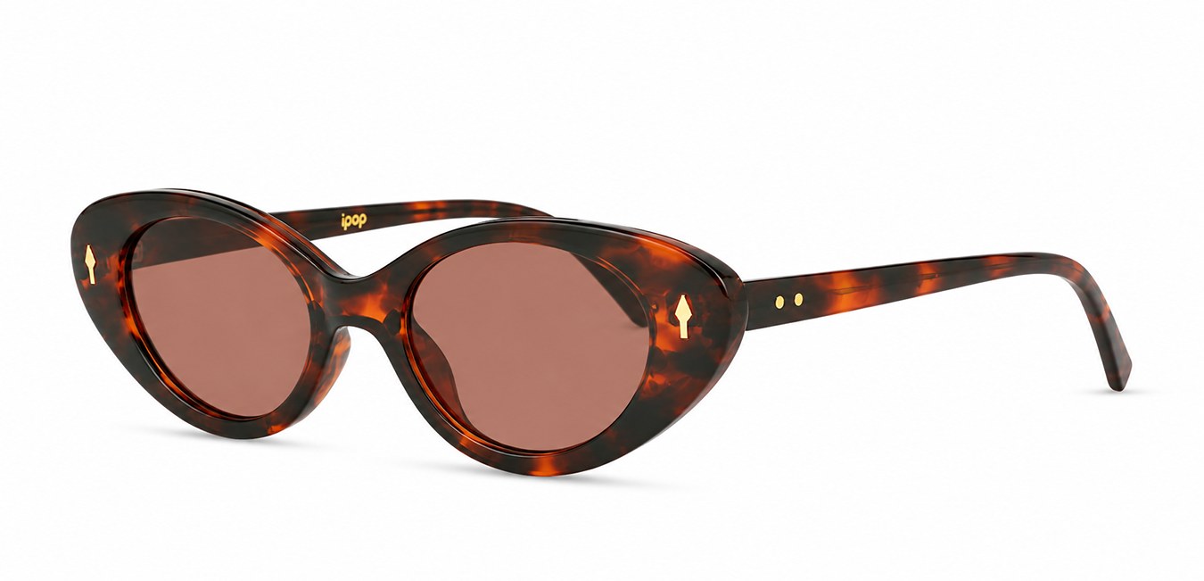 Vintage classic sunglasses with gold arrow temple accents Title: Vintage Gold Arrow Sunglasses NZ