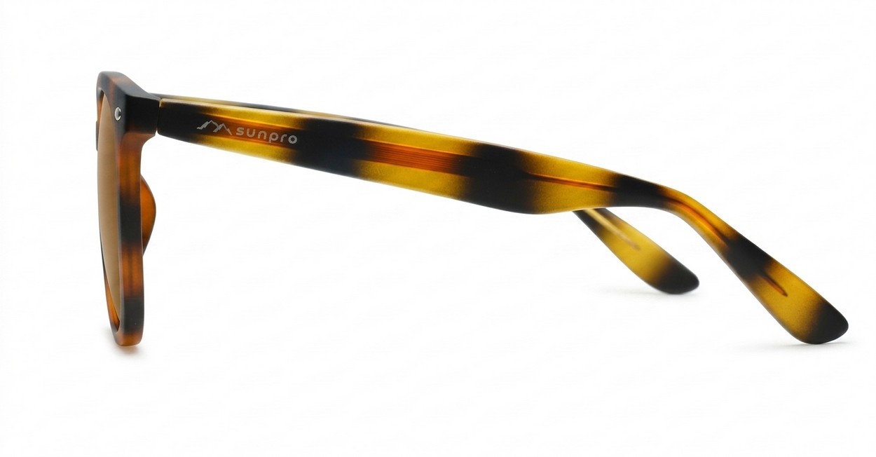 Kiri Tortoise large round polarised sunglasses tortoise frames dark brown lenses