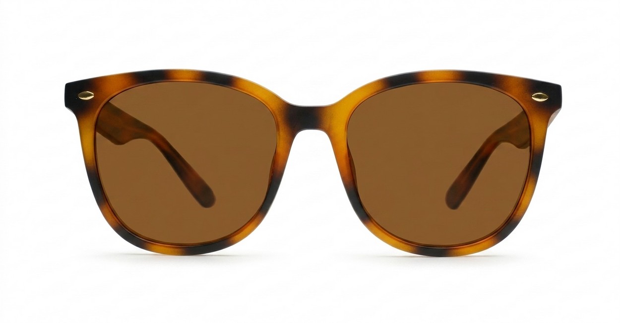 Kiri Tortoise large round polarised sunglasses tortoise frames dark brown lenses