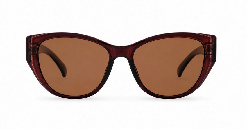 Women's cat-eye polarised sunglasses with gold temple detailing