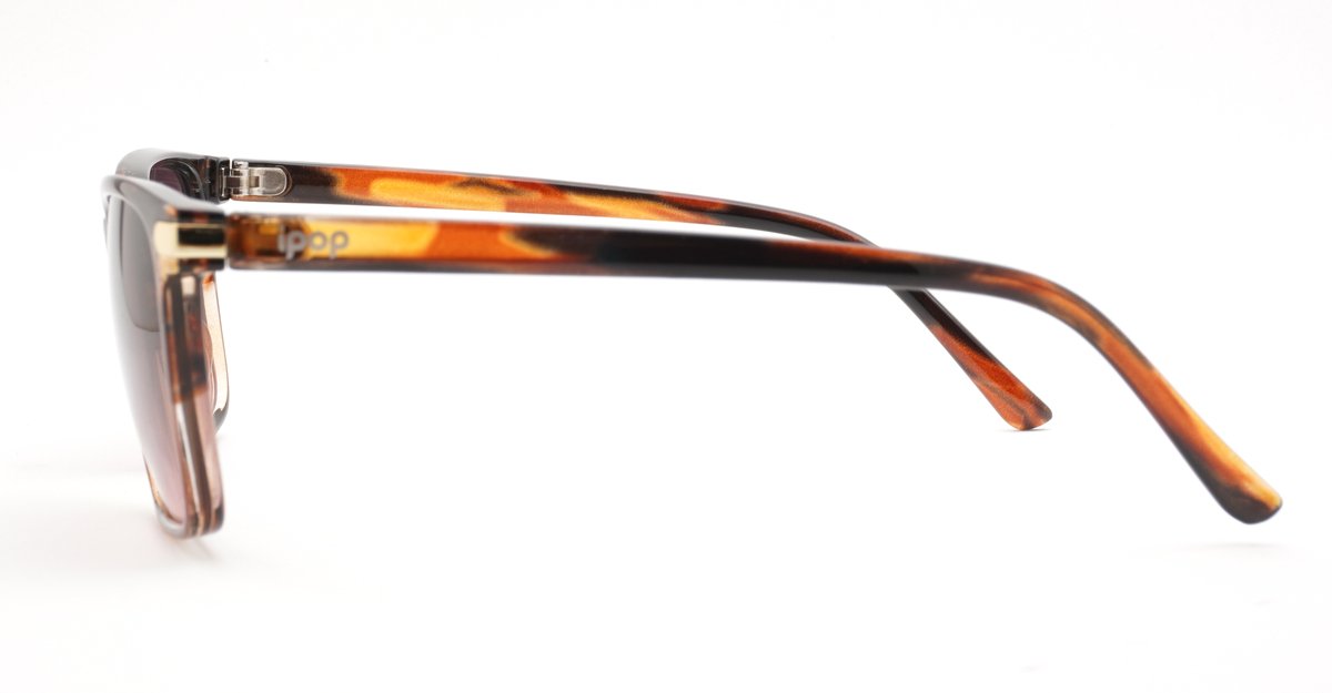 Coast women's squared sunglasses with gold temple detailing