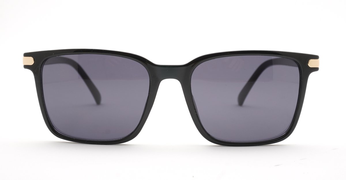Coast women's squared sunglasses with gold temple detailing