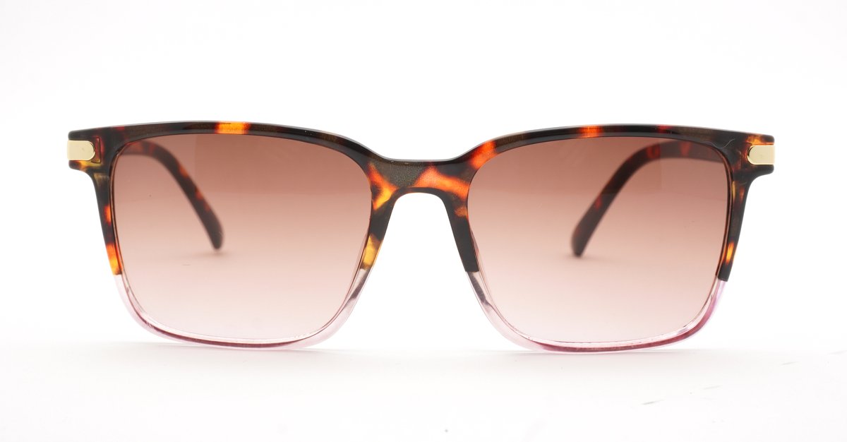Coast women's squared sunglasses with gold temple detailing