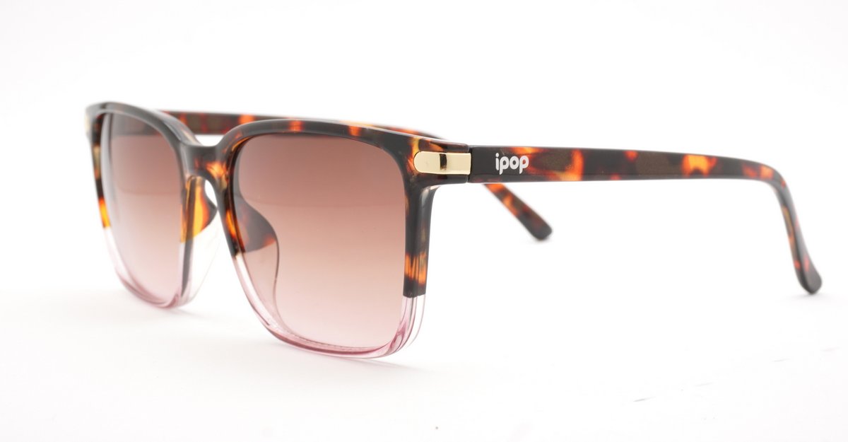 Coast women's squared sunglasses with gold temple detailing