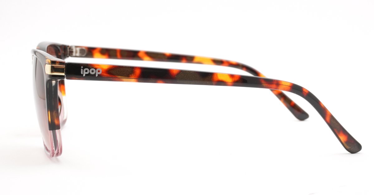 Coast women's squared sunglasses with gold temple detailing