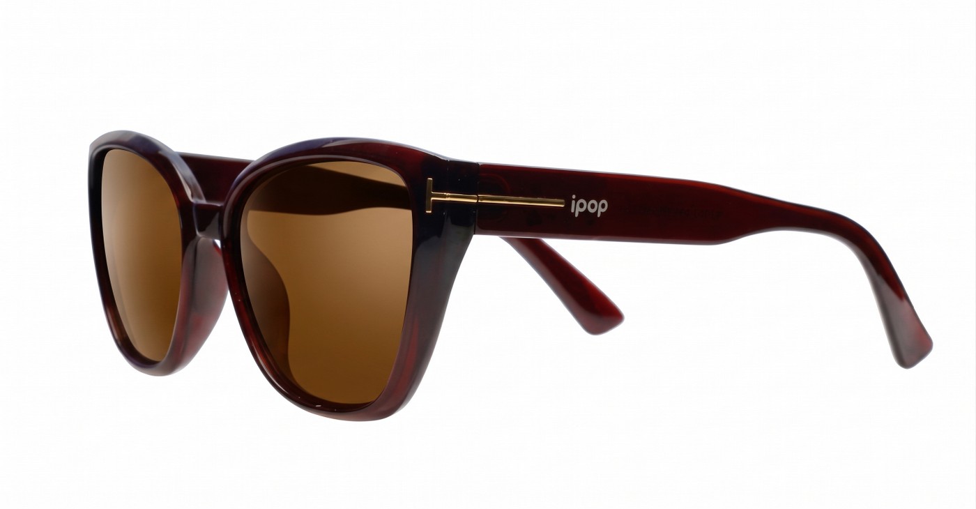 iPOP Juno large polarised cat eye sunglasses for women with gold inlay detail