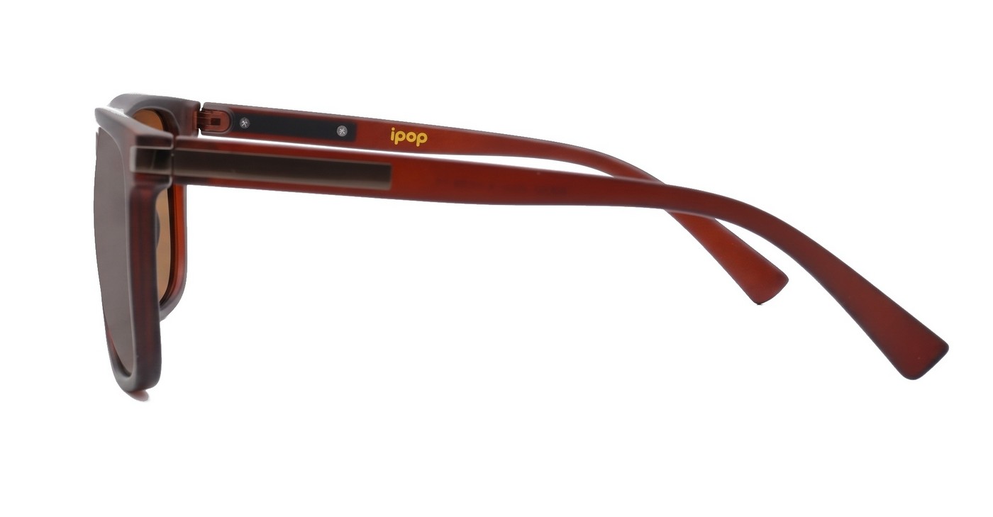pz5839 womens UV400 sunglasses NZ