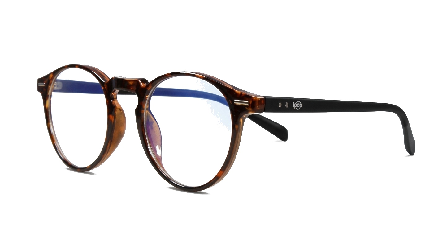 Round anti blue light glasses with silver accents, wire-core temples and steel hinges