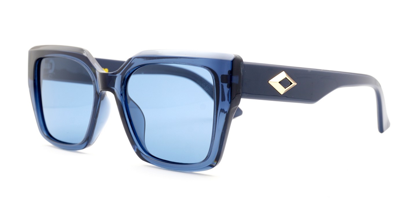 Classic women’s polarised sunglasses with gold temple accents