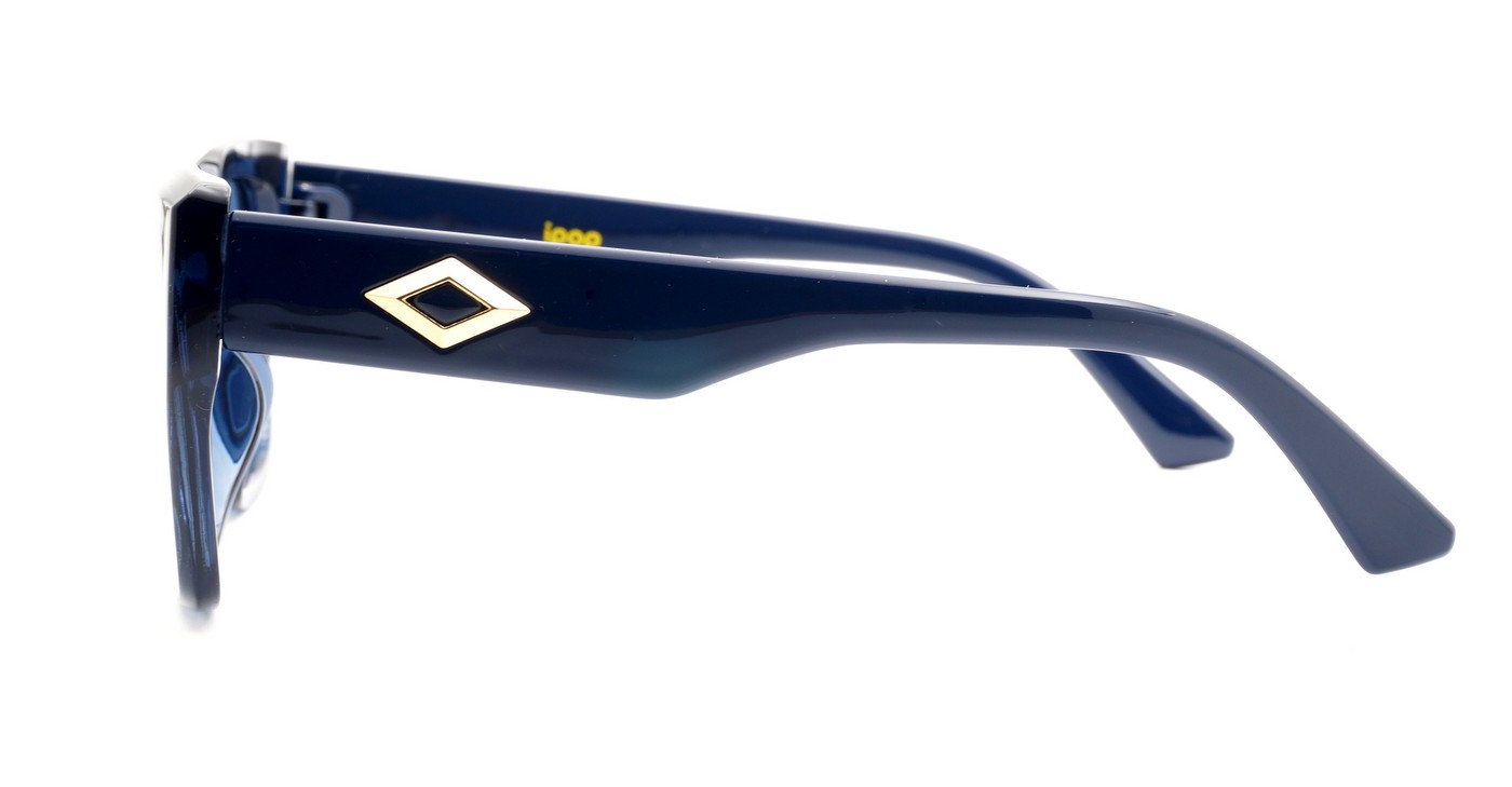 Classic women’s polarised sunglasses with gold temple accents