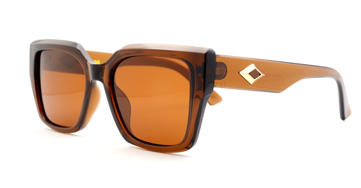 Classic women’s polarised sunglasses with gold temple accents