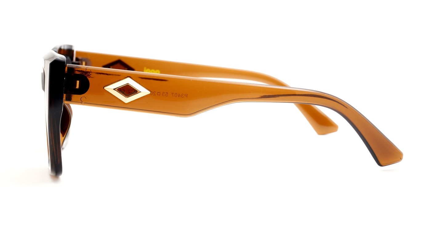 Classic women’s polarised sunglasses with gold temple accents